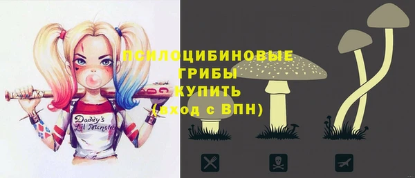 мяу мяу мука Алзамай
